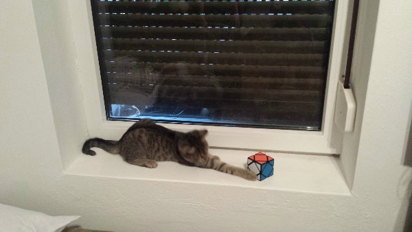cat cube 3x3