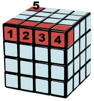 parity cases