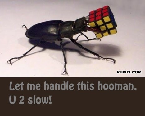 Rubiks cube bug handle